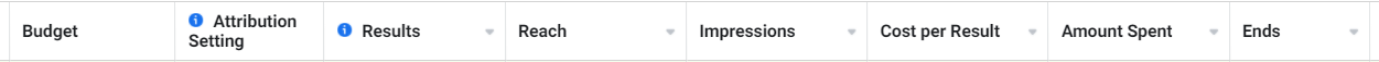 Columns in Facebook Ads Manager reports